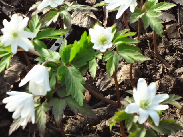 �������������������J�ł����B_�S����������