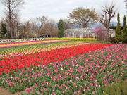 Ă񂳂̃n[u뉀L̓eʐ^1