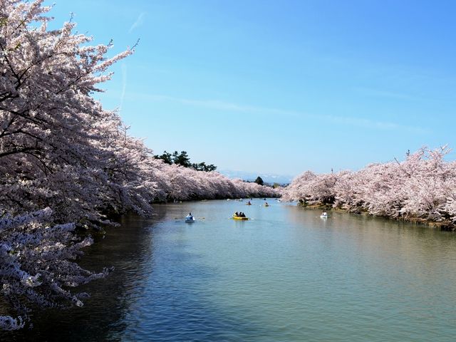 ���̃g���l���Ɛ���_�O�O����