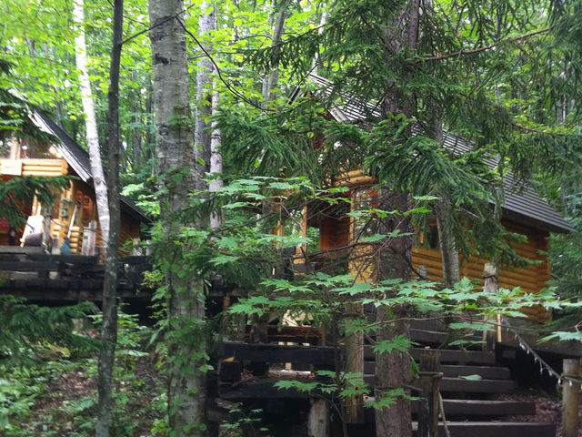 �V���b�s���O���[�h�u�j���O���e���X�v