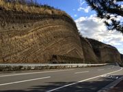 `񂳂̐gnwfʂ̓eʐ^1