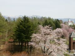 肳̓̉w É^ւ̓eʐ^1