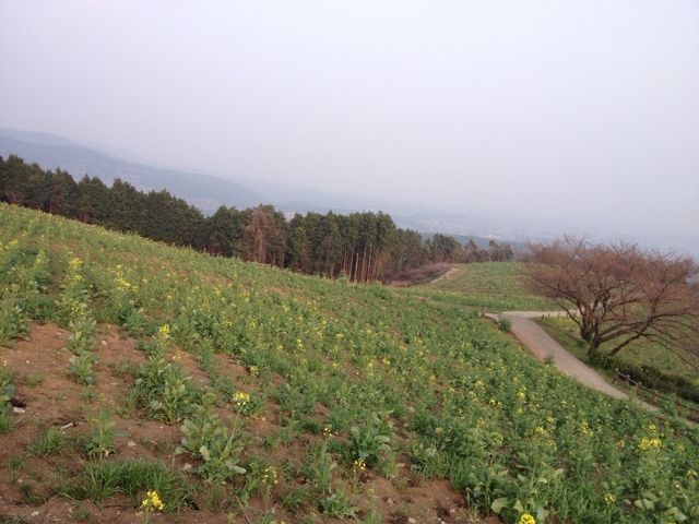 �i�F_���ؕ􍂌�