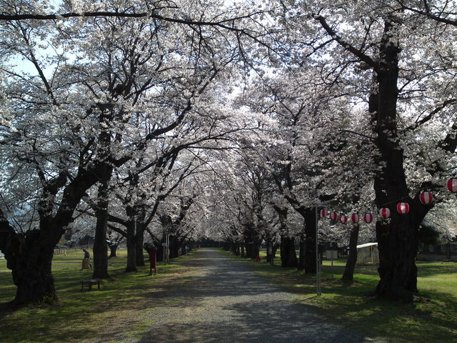 ꂢ̉ƒ{ǃZ^[x؂̓eʐ^1