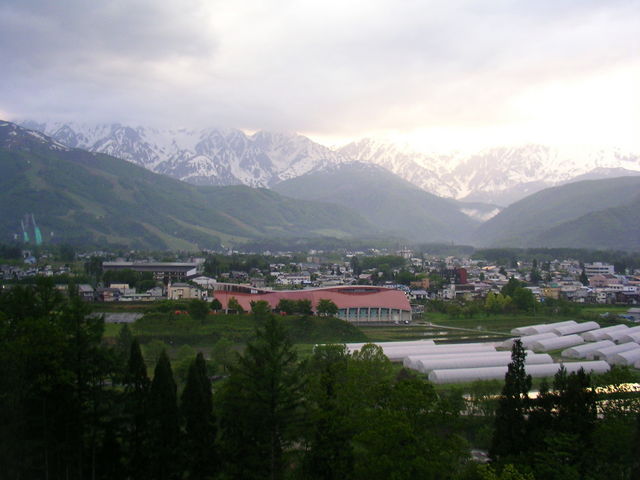 ̌iFB
VC̗ǂ͍ō̒߂łB
͗cOȂJłB_nP쉷@V_̓