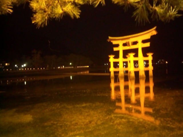 夜景も必見。水面に映る朱色の鳥居が美しい。_嚴島神社