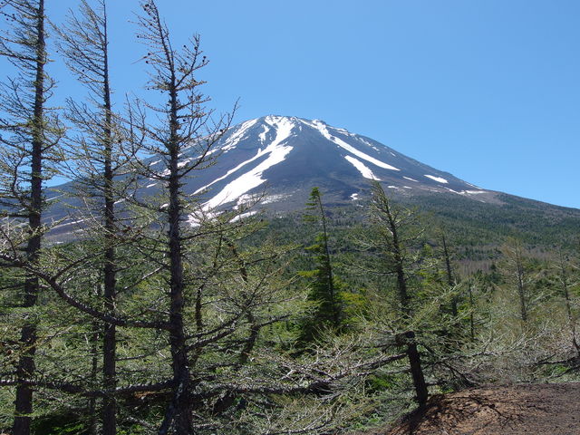 ���납�珉�Ă̕x�m_���E���뎩�R�T���H