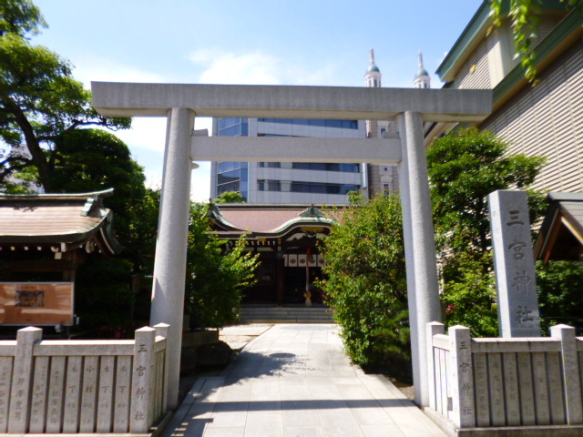 �O�{�_��_�O�{�_��