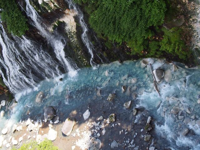 ���Ђ��̑�