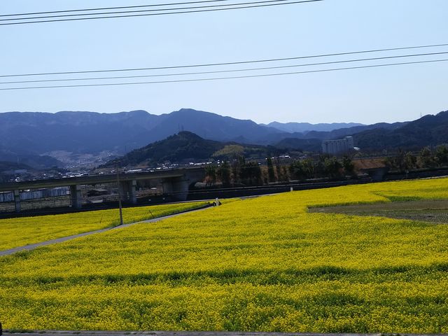 �N�[���X�E���[��