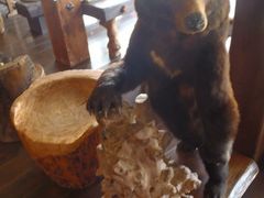 �ف[�ނ�����̍��㉖����ւ̓��e�ʐ^1