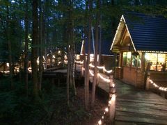 Ƃ݂̃VbsO[hujOeXvւ̓eʐ^1