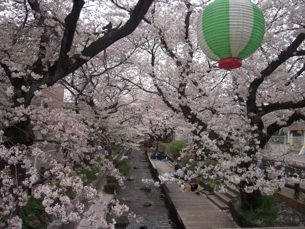 18 関東のお花見 桜名所おすすめ30選 きれいな桜を見に行こう じゃらんニュース