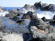 nana����̒����̓��e�ʐ^1