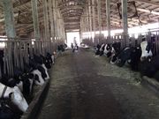 saka̐cӂꂠq̓eʐ^1