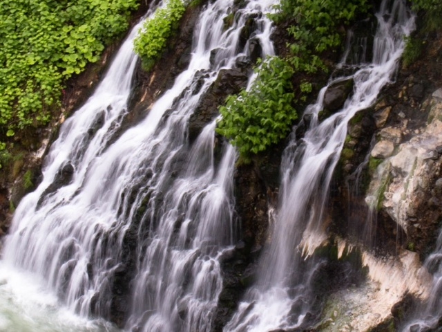 ���Ђ��̑�