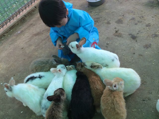 �������̉a���B�ӂꂠ���B���̂������l�������������ł�(^^)_����Ƃ蓮����