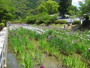 ̋g^͂Ȃ傤Ԃ̓eʐ^1