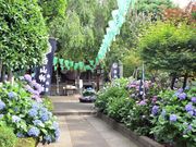 tapumiee̔R_Ђ̂̓eʐ^1