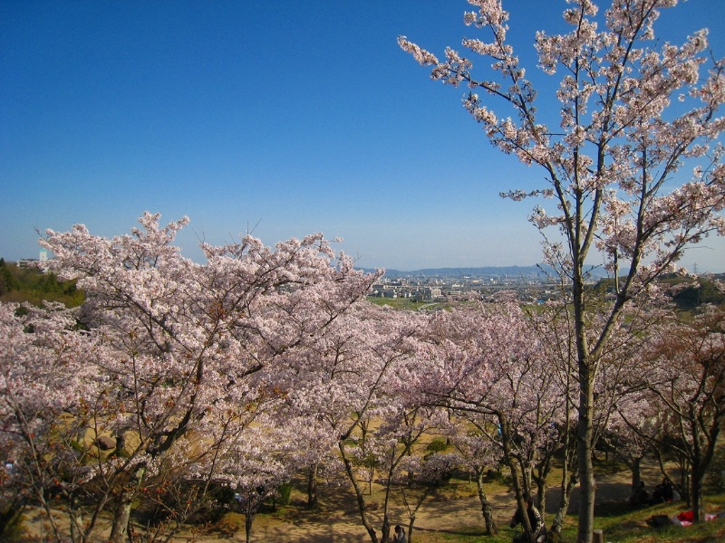 関西 春絶景26選 この春に行くべきおすすめスポットを厳選 じゃらんニュース