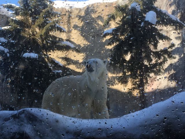 ���R������