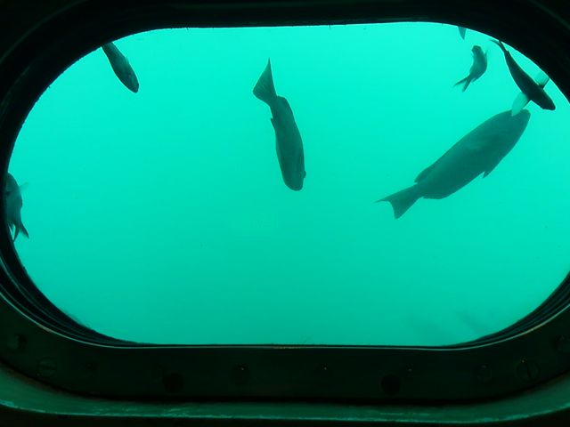 cPԋĂOȂI
SɂB_YCW]