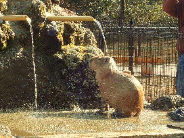 C悳ŁAĂق܂B_ʌǂR