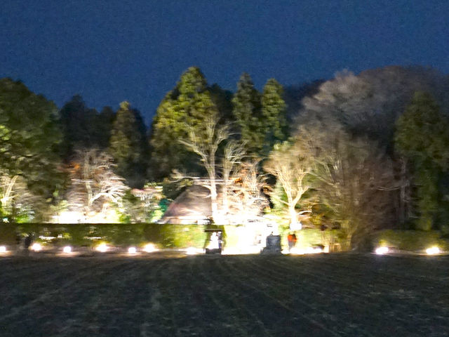 ���C�g�A�b�v���ꂽ���`��_���`��