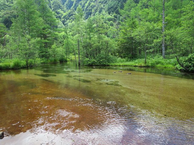 ����������_�㍂�n