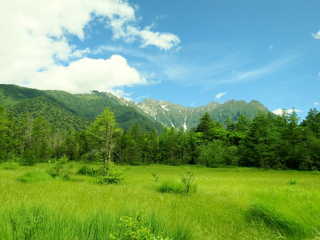 ����_�㍂�n