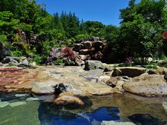 kachan̐ف@Rւ̓eʐ^2