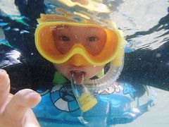 cherũIIΊ_GRcA[ւ̓eʐ^1