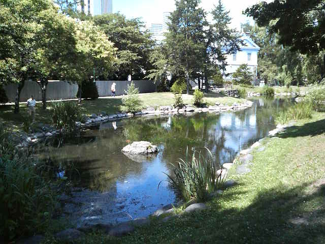 �r�̎��͂̎U�����ȂǁA�������������͋C�ł��B_��������