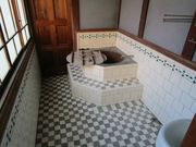 ����҂�����̓��{�n���C�ږ������ق̓��e�ʐ^1