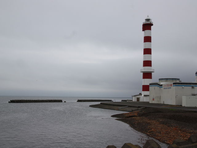 �m�V���b�v��