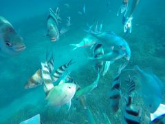 ayatakãT}[][gւ̓eʐ^1