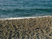 肻Ȃ̃x_[r[`̓eʐ^1