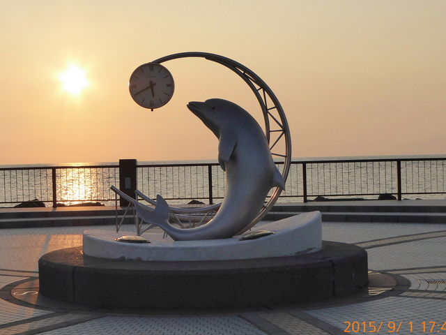 �[�z�܂��̃C���J�����_�m�V���b�v��