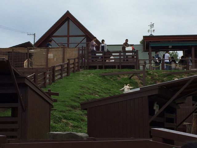 ���R������