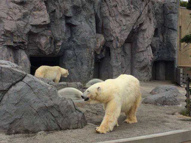 ���R������