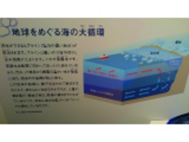 �n�����߂���C�̑�z��_�I�z�[�c�N���X��