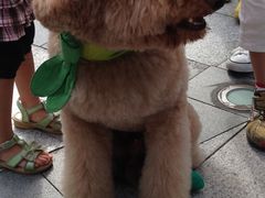 ��i�`���g���n��̎ʐ^2