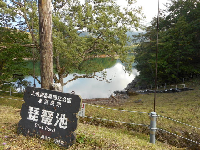 �N�����܂���_���i�r