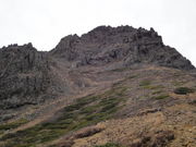 1962̐ԊxV]̓eʐ^1