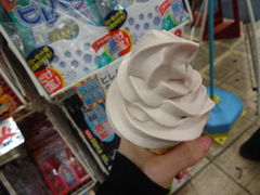 ł̊씪F{܂ւ̓eʐ^1