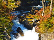 kazu񂳂̒T΁@،m̓eʐ^1