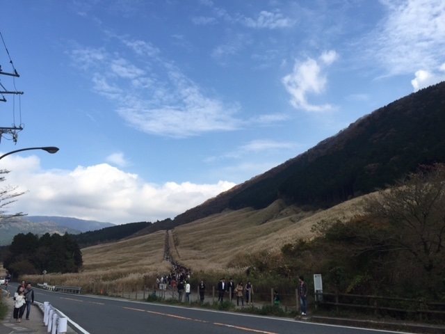 ��Ό�����