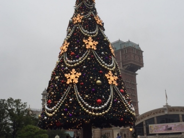 �����f�B�Y�j�[�V�[(R)