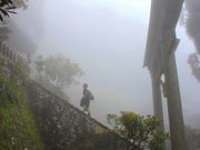 ���p��7777777����̋ʒu�_�Ђ̓��e�ʐ^1