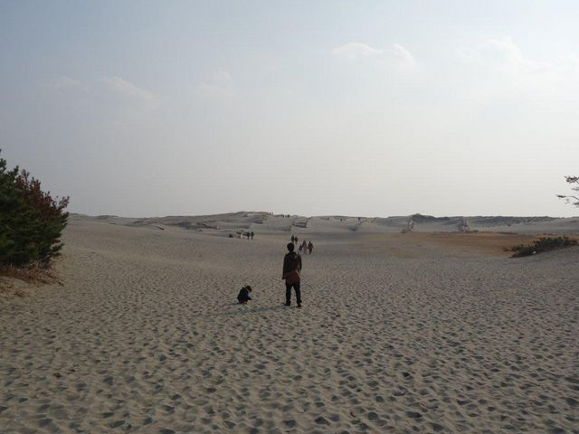 �Y��ȍ��u�ł�_���c�����u